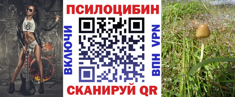 Купить закладки  Белый  Псилоцибиновые грибы Psilocybine cubensis 
